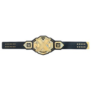 WWE NXT 챔피언쉽 아크릴 벨트